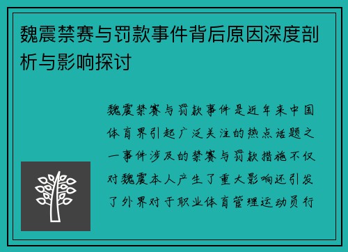 魏震禁赛与罚款事件背后原因深度剖析与影响探讨