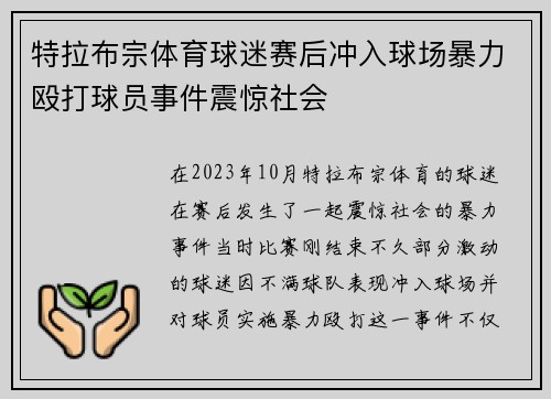 特拉布宗体育球迷赛后冲入球场暴力殴打球员事件震惊社会 特拉布宗体育球迷赛后冲入球场暴力殴打球员事件震惊社会